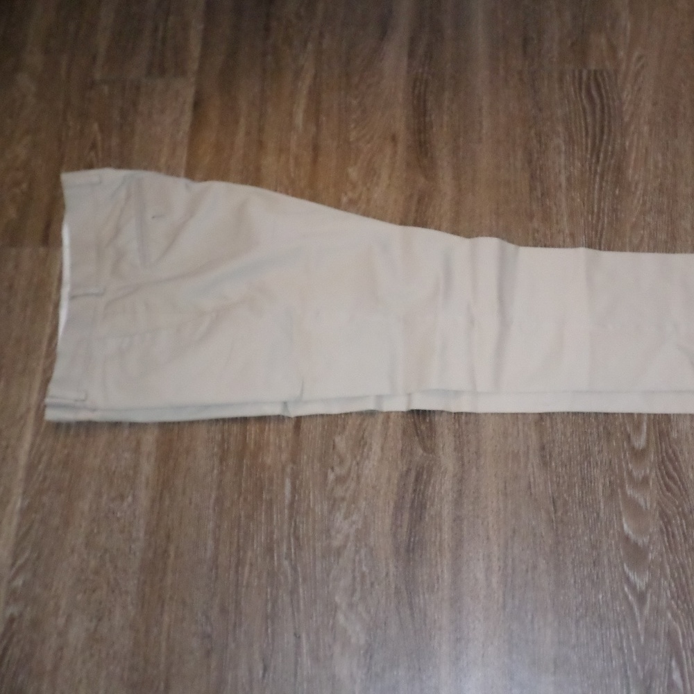 Express Dress Pants
